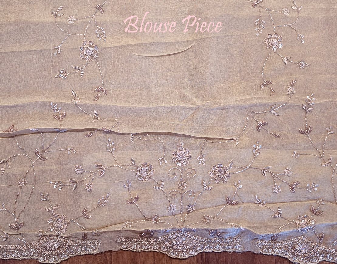 Beige Tissue Organza Zardozi Handwork Saree – Handloom Saree Online India | Elegantt Drapes