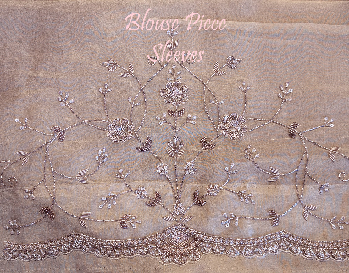 Beige Tissue Organza Zardozi Handwork Saree – Handloom Saree Online India | Elegantt Drapes