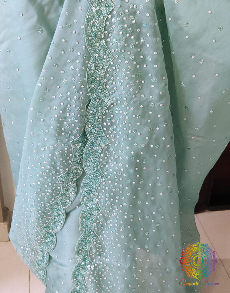 Aqua Pure Organza Silk Handwork Saree – Handloom Saree Online India | Elegantt Drapes