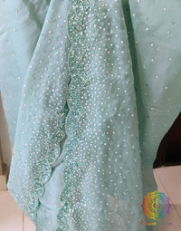 Aqua Pure Organza Silk Handwork Saree – Handloom Saree Online India | Elegantt Drapes