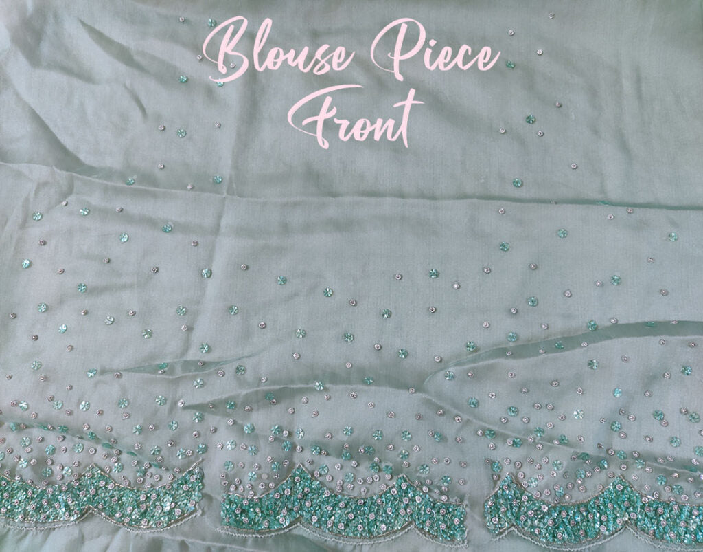 Aqua Pure Organza Silk Handwork Saree – Handloom Saree Online India | Elegantt Drapes