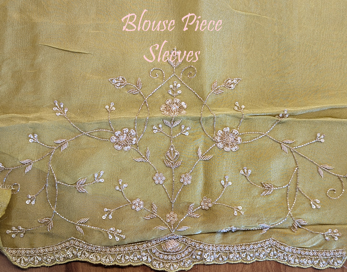 Green Tissue Organza Zardozi Handwork Saree – Handloom Saree Online India | Elegantt Drapes