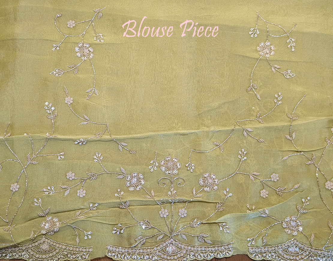 Green Tissue Organza Zardozi Handwork Saree – Handloom Saree Online India | Elegantt Drapes