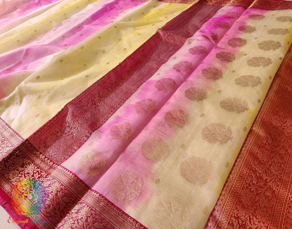 Multi Shaded Pure Chanderi Handloom Katan Silk Saree – Handloom Saree Online India | Elegantt Drapes