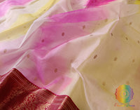 Multi Shaded Pure Chanderi Handloom Katan Silk Saree – Handloom Saree Online India | Elegantt Drapes