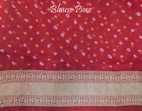 Red Pink Shaded Banarasi Bandhani Khaddi Georgette Saree – Bandhani Saree Online India | Elegantt Drapes