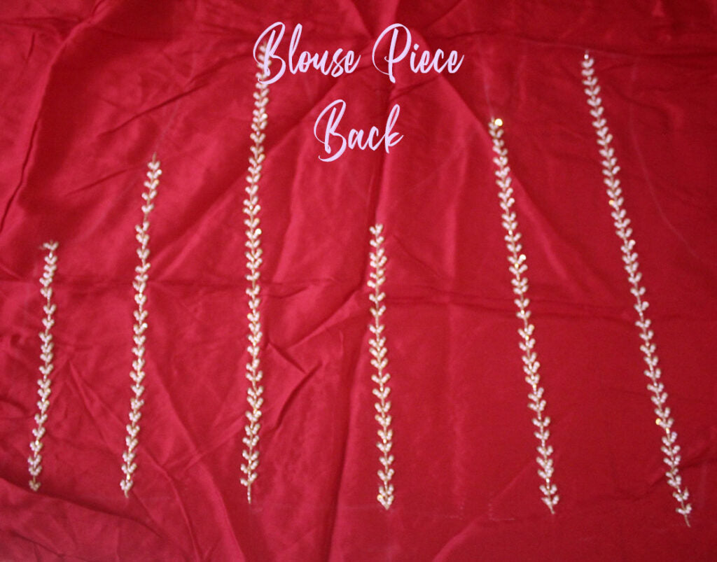 Red Pure Organza Handwork Saree – Handloom Saree Online India | Elegantt Drapes