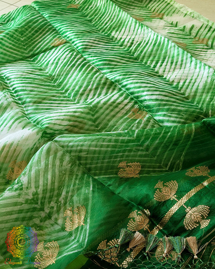 Green Banarasi Handloom Kora Silk Arashi Shibori Dupatta full view