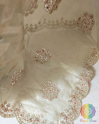 Green Banarasi Tissue Silk Gota Patti Handwork Saree