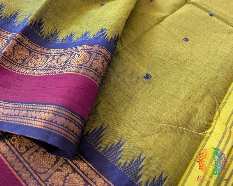 Close up of blue and pink border on green Kanchi cotton saree highlighting weave