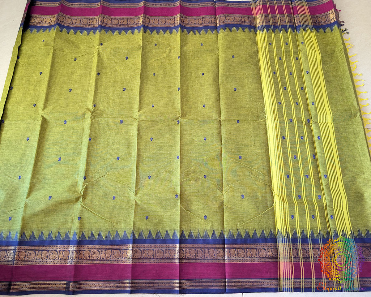 Full green Kanchi cotton saree laid flat showing contrast border and overall design