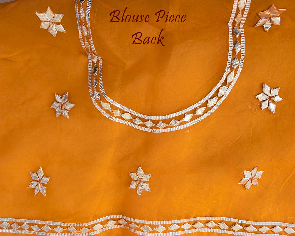 Mustard Orange Organza Leheria Saree – Blouse back view featuring the coordinated Organza fabric and matching traditional detailing
