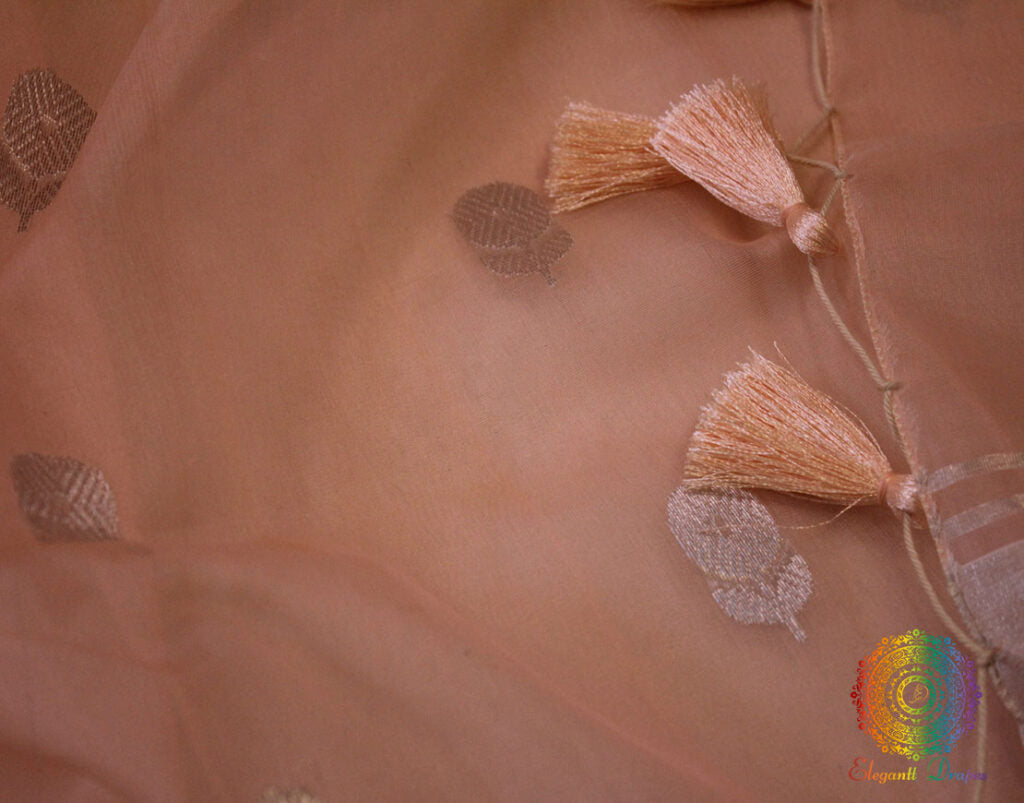 Peach Pure Chanderi Handloom Katan Silk Saree | Elegantt Drapes