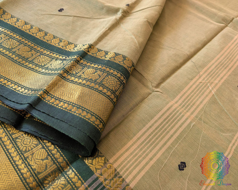 Subtle green everyday saree with clean traditional finish
