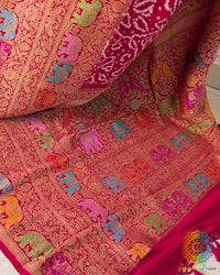 Detailed view of Shikargah-inspired motifs and woven zari detailing on saree