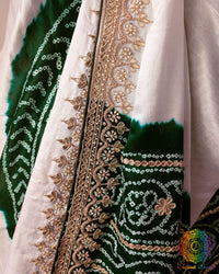 Close up of gota patti border work and green Rasmandal motifs on gaji silk saree