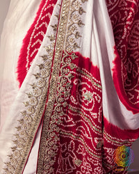 Close up of gota patti border work and red Rasmandal motifs on gaji silk saree
